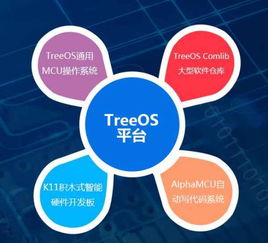 單片機(jī)項(xiàng)目開發(fā)